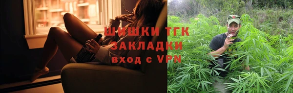 прущие грибы Лагань