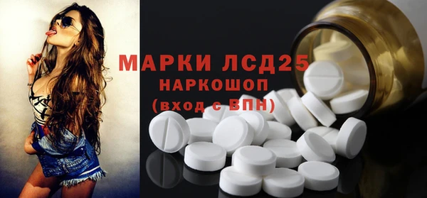 прущие грибы Кулебаки
