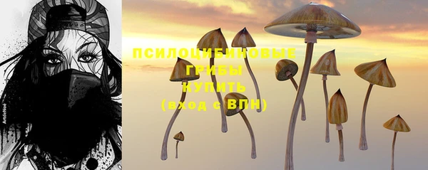 герыч Ладушкин