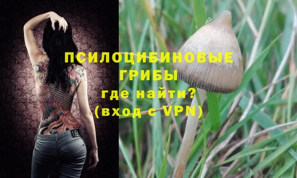 герыч Ладушкин