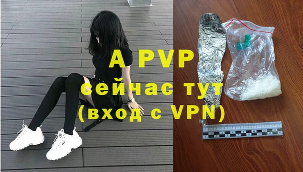 прущие грибы Кулебаки
