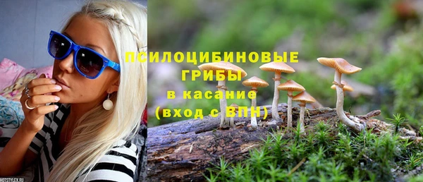 герыч Ладушкин