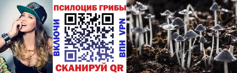 Псилоцибиновые грибы ЛСД  Сосновоборск 