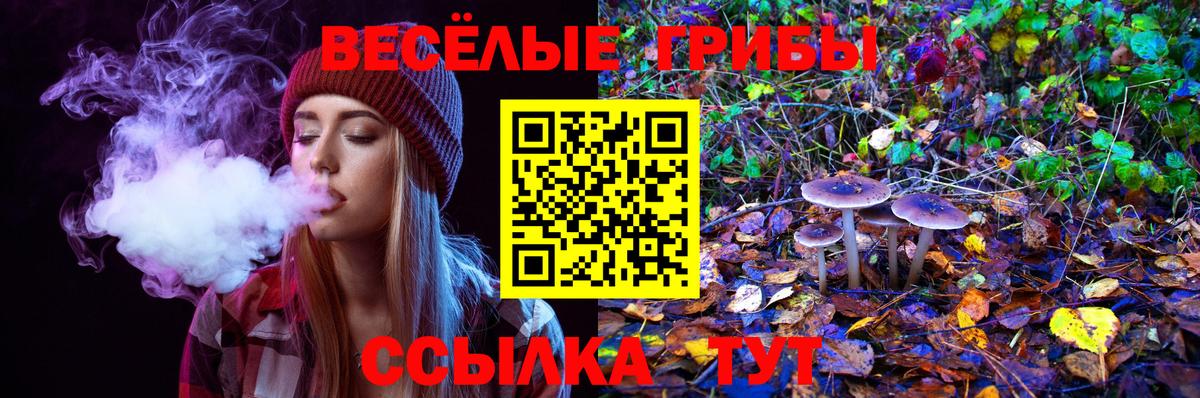 Псилоцибиновые грибы ЛСД Сосновоборск