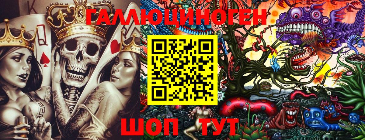 Псилоцибиновые грибы Cubensis  Сосновоборск  Галлюциногенные грибы мухоморы 